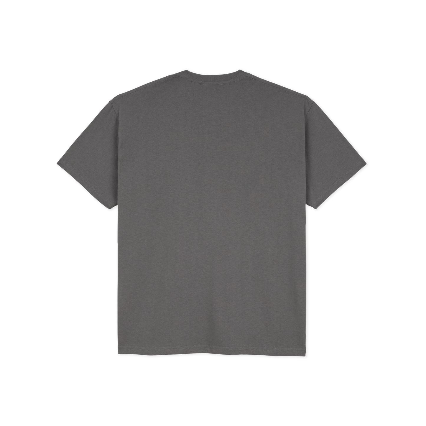 POLAR TEE | EVERYTHING IS NORMAL - GRAPHITE